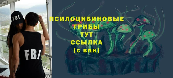 прущий лед Надым