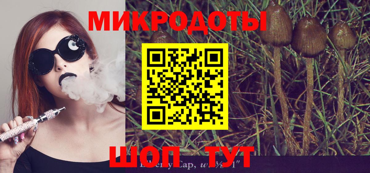 Псилоцибиновые грибы мицелий Железногорск